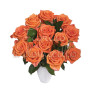 12_rose_arancio